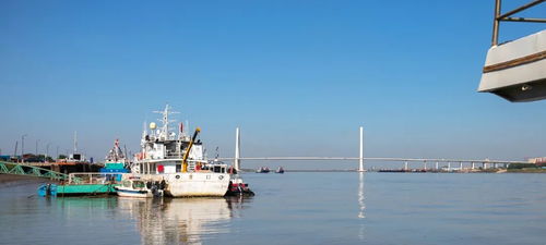 沿河向海，探秘營口的文明新貌——主播眼中的城市魅力
